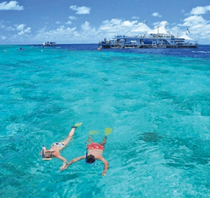 Hamilton Island snorkeling